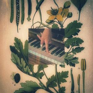 gyógynövény (feat. SARSHA)