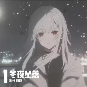 冬夜星落