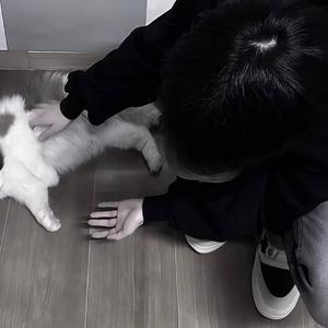 你也要丢下我了吗