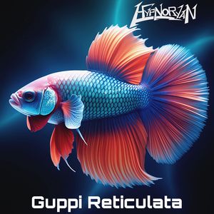 Guppi Reticulata