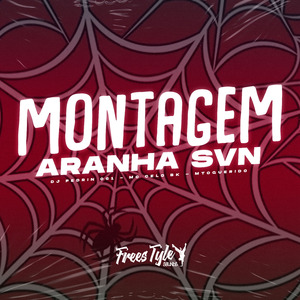 Montagem Aranha SVN