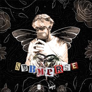 Submerse