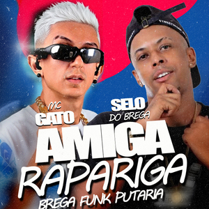 Amiga Rapariga Brega Funk Putaria