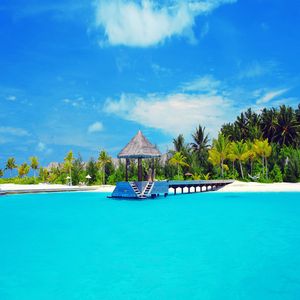 桃花树下的约定成了笑话