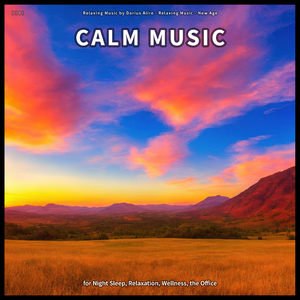 Reiki Music