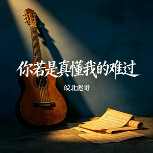 你若是真懂我的难过