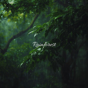 Peaceful Rain Sounds at Forest, Seq.15