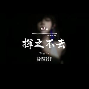 揮之不去(R&B)
