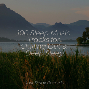 Echoes from Stained Glass