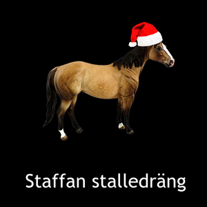 Staffan stalledräng (Remix)