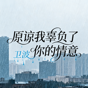 原谅我辜负了你的情意(伴奏)