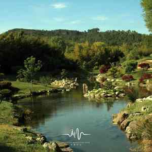 明月照影归 (自然声+古筝)