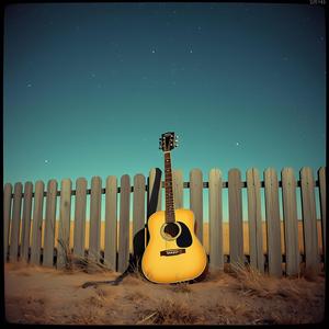 月明かりの小道