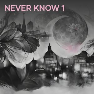 Never Know 1