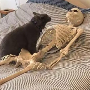 大鱼（Cover 周深）