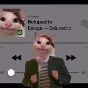 Belupacito