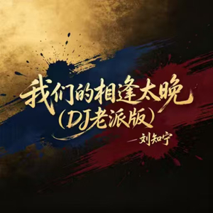 我们的相逢太晚(DJ老派版)