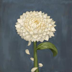 Pale Chrysantemum (I'll be waiting for you)