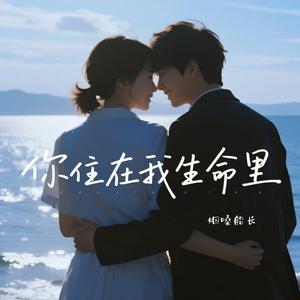 你走进我生命里