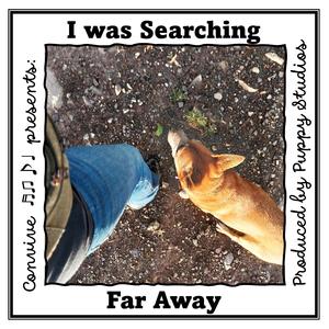I was Searching Far Away