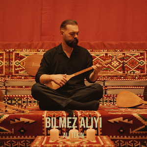 Bilmez Ali'yi