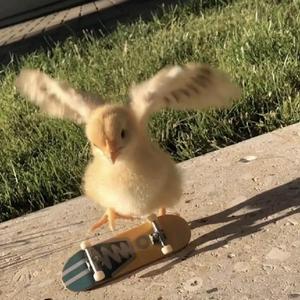 5445