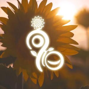 向阳（翻自 咬人猫）