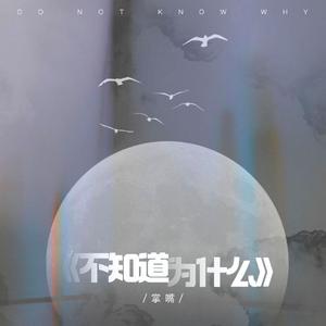 不知道为什么