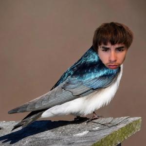 chirp