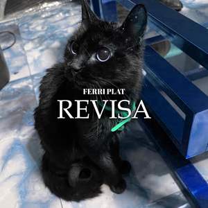 Revisa