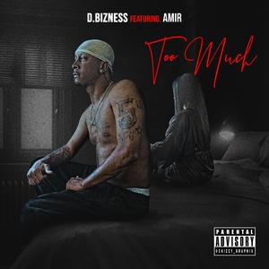 Too Much (feat. Amir)