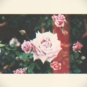 I Know You So Well