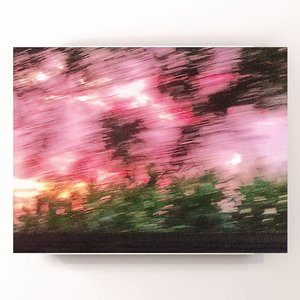 夏日余音的冬日妄想