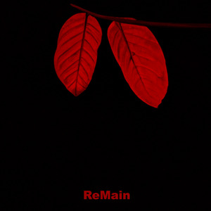 Remain