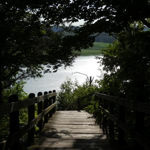 Second Wind (feat. Pżyck Summit)