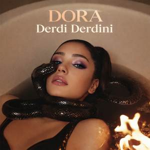 Derdi Derdini