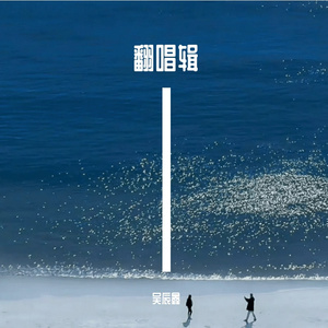 如果你是爱上我的沧桑