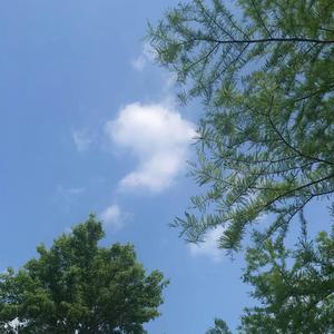 你就不要想起我