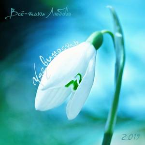 Уязвимость