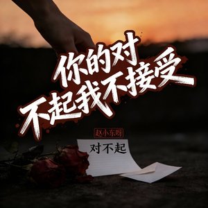 你的对不起我不接受