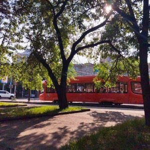 Мир прекрасен