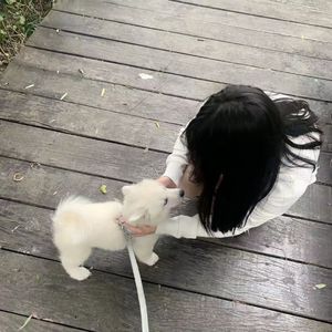 或许自由更胜一筹