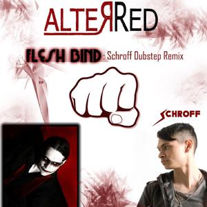 Fleshbind (Schroff VIP Dub Mix)