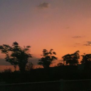 恋爱的犀牛