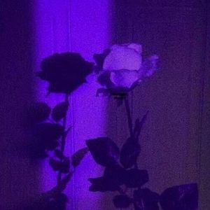 如果没有 prod by FRESH—ye