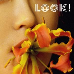 这世上美的事物总让人心碎