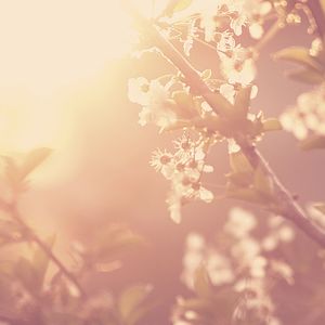 抚慰的下班以后回忆