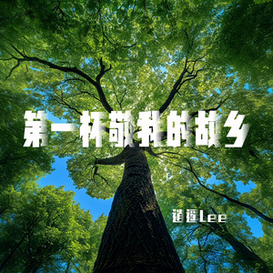 第一杯敬我的故乡(伴奏)