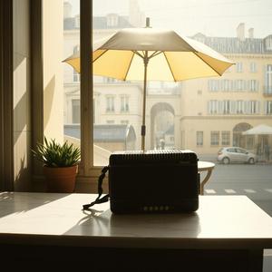 Paris Afternoon