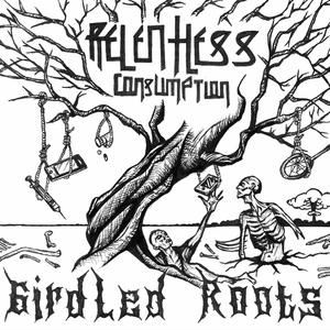 Instinct Over Influence